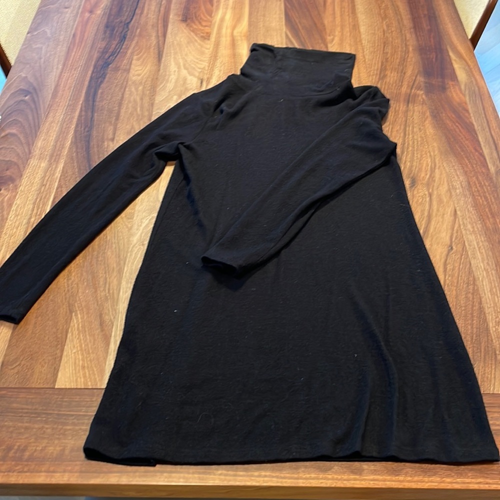 Z Supply yummy turtleneck dress